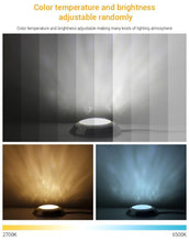 Load image into Gallery viewer, RGB+CCT UNDERWATER LIGHTS
